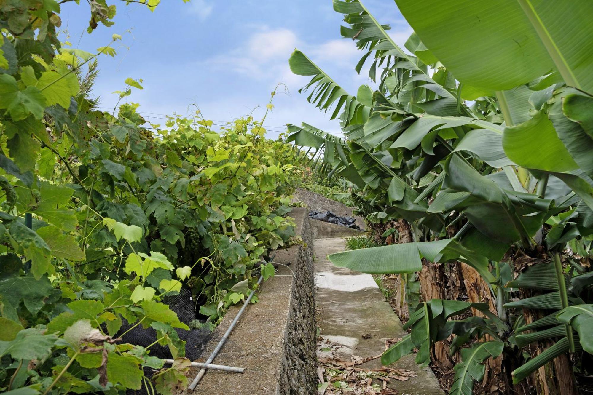 Casa Das Rosas Angra do Heroísmo Extérieur photo